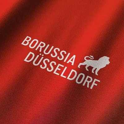 Borussia Dusseldorf Table Tennis Team