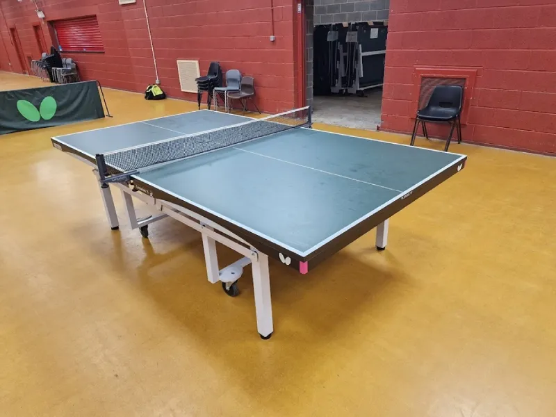 Butterfly Centrefold 25 Surface