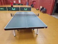 Butterfly Centrefold 25