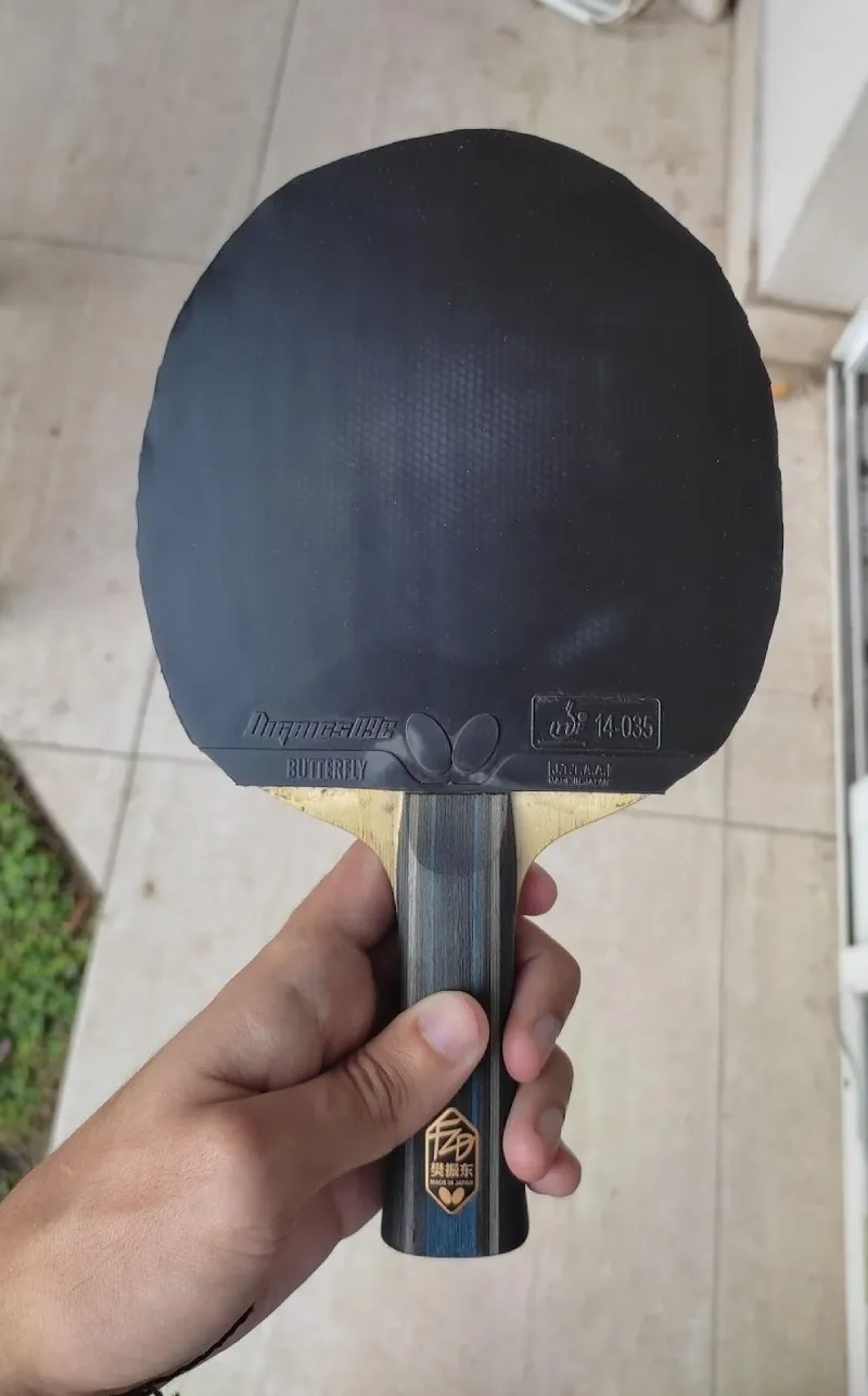 Butterfly Dignics 09c