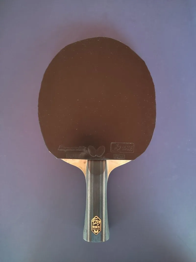 Butterfly Dignics 09c