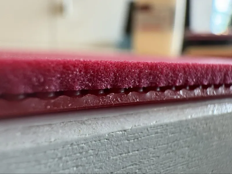 Butterfly Zyre 03 Spring Sponge X