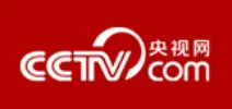 CCTV Logo