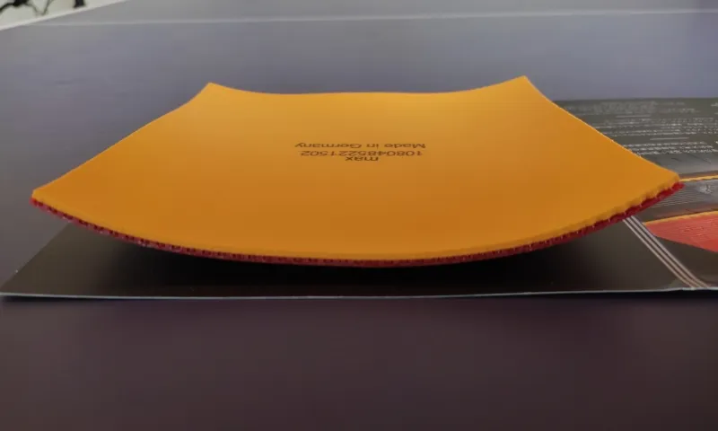 A picture of the Donic Baracuda Curvature