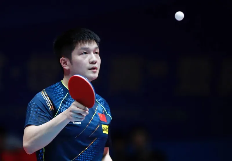 A picture of Fan Zhendong