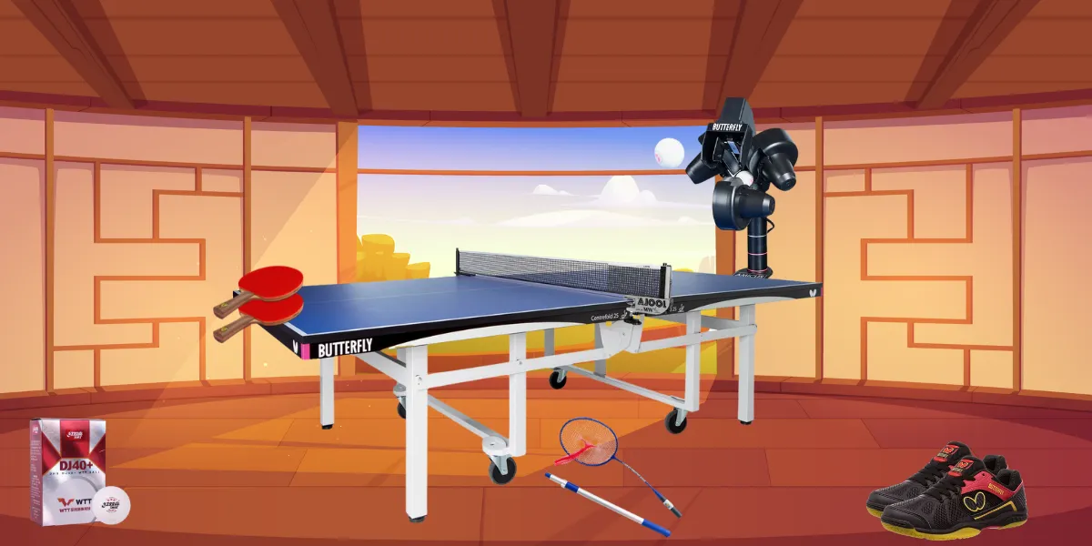 Home Luxury Table Tennis Setup - Hotspot Images