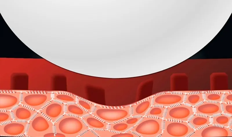 Inverted Rubbers Explainer