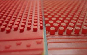 A picture of Long Pips