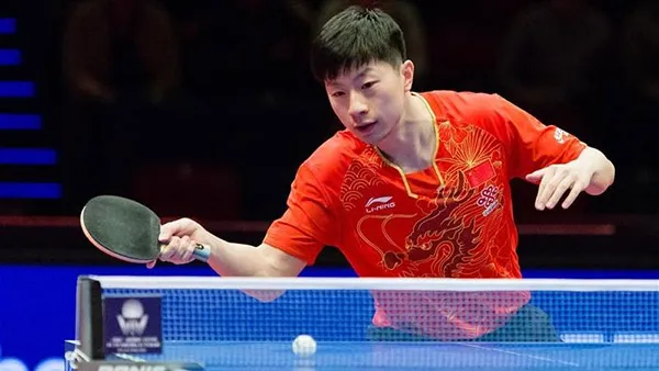 Ma Long Grip Example