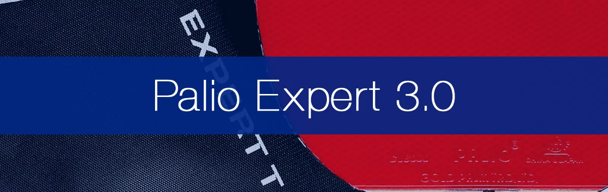 Palio Expert 3.0 Review by a Qualified Coach