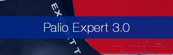 Palio Expert 3.0 Review by a Qualified Coach