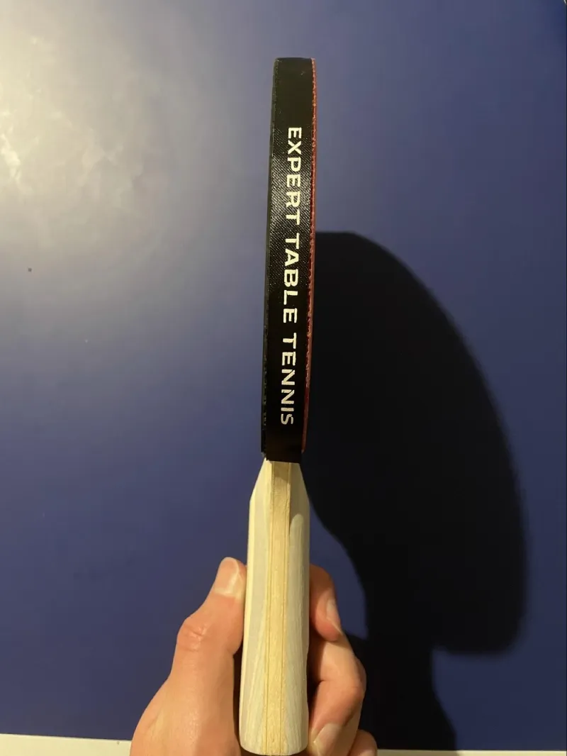 A picture of the Palio Expert 3.0 Handle