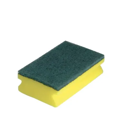 Sponge