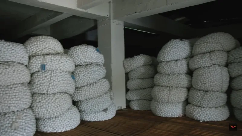 A picture of the Table Tennis Balls stored