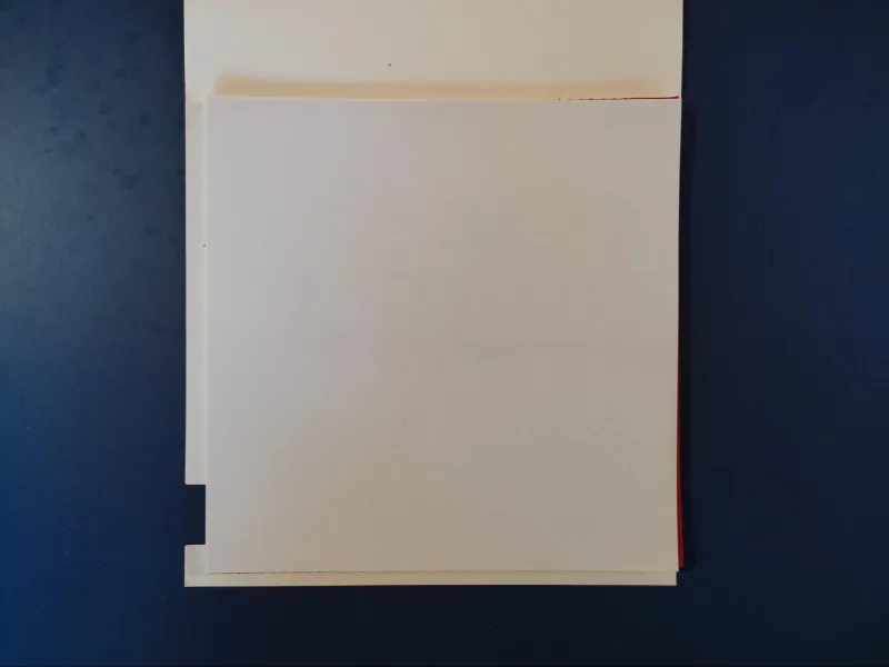 Yasaka Rakza XX Protective Film